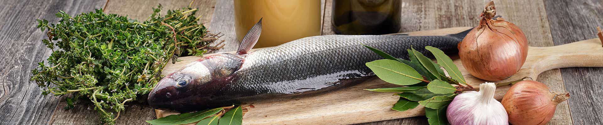 Fumet de poisson